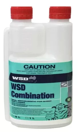 wsd-combination WSD COMBINATION