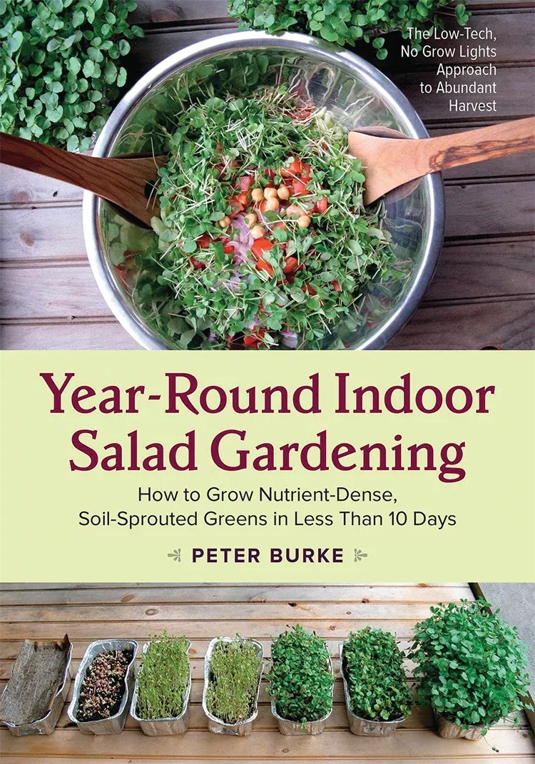 year-round-indoor-salad-gardening Year-Round Indoor Salad Gardening
