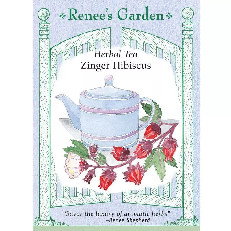 zinger-herbal-tea-hibiscus-seeds Zinger Herbal Tea Hibiscus Seeds
