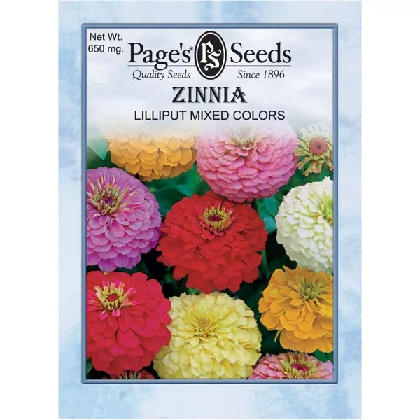 zinnia-lilliput-mix-seed-1-packet Zinnia Lilliput Mix Seed - 1 Packet