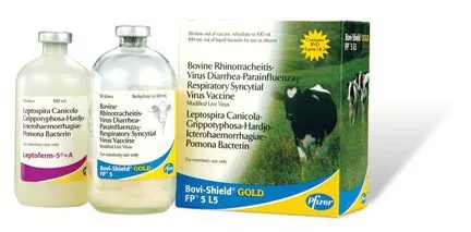 zoetis-bovi-shield-gold-fp-5-l5-5-doses Zoetis, Bovi-Shield, Gold FP 5+L5, 5 Doses