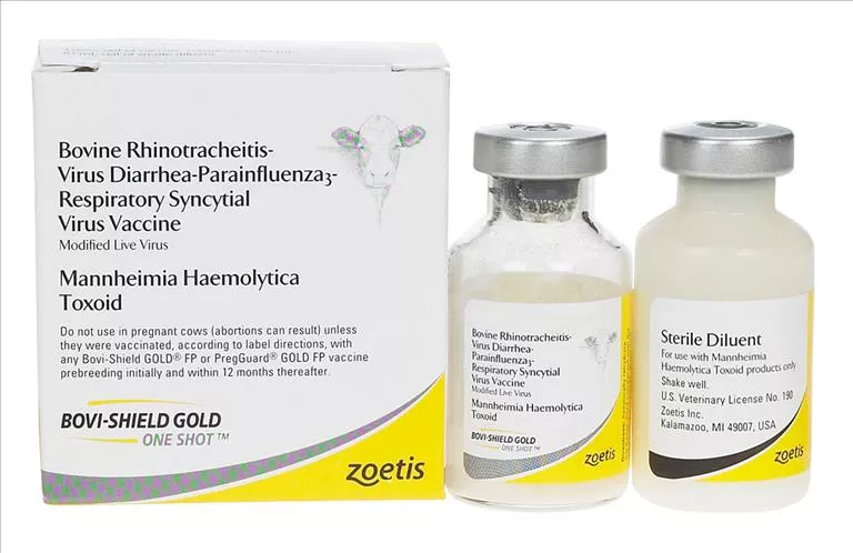 zoetis-bovi-shield-gold-one-shot-5-doses Zoetis, Bovi-Shield Gold, One Shot, 5 Doses