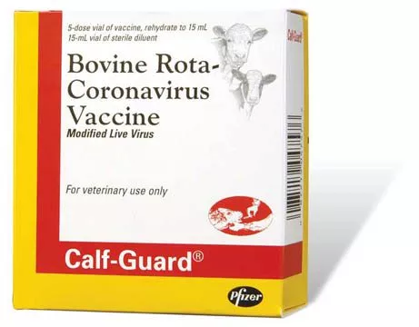 zoetis-calf-guard-vaccine-25-count Zoetis, Calf-Guard Vaccine, 25 Count