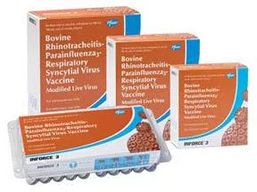 zoetis-inforce-3-intranasal-10-doses Zoetis, Inforce 3, Intranasal, 10 Doses