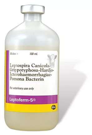 zoetis-leptoferm-5-50-doses Zoetis, Leptoferm-5, 50 Doses