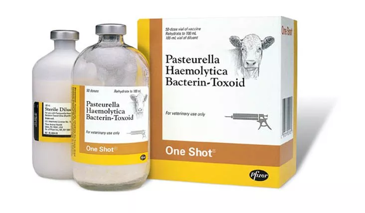 zoetis-one-shot-pasteurella-vaccine-10-doses Zoetis, One Shot Pasteurella Vaccine, 10 Doses