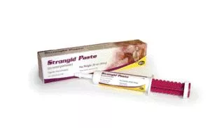 zoetis-strongid-paste-horse-dewormer Zoetis, Strongid Paste, Horse Dewormer