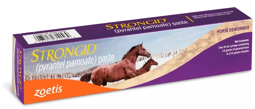zoetis-strongid-paste Zoetis STRONGID PASTE