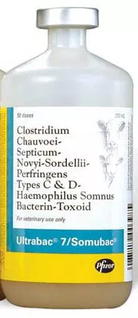 zoetis-ultrabac-7-somnus-10-doses Zoetis, Ultrabac 7+Somnus, 10 Doses