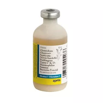 zoetis-ultrabac-7-somubac Zoetis ULTRABAC 7/SOMUBAC